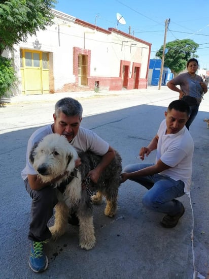 Llevan a cabo vacunación antirrábica en espacios públicos del municipio de Viesca.
