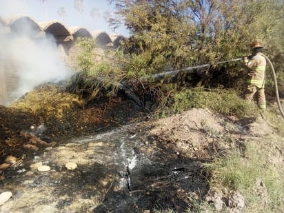 Finalmente y luego de algunas horas de trabajo, el fuego quedó controlado y el lugar asegurado, retirándose entonces el personal. (EL SIGLO DE TORREÓN)
