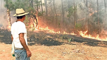 Con pocas herramientas -pero las necesarias-, comuneros y brigadistas rescatan las áreas verdes de sus regiones. (ARCHIVO)