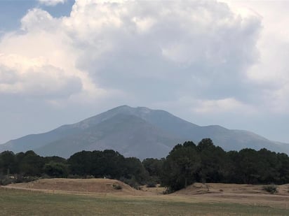 Este incendio arrasó con más de 350 hectáreas de matorral y arbolado viejo. (ESPECIAL)
