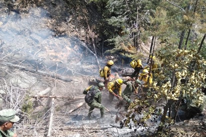 El ERMI está conformado por 18 técnicos y es el responsable de administrar los recursos asignados para atender el incendio. (EL SIGLO DE TORREÓN)