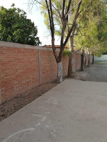 Las autoridades escolares, padres de familia y alumnos agradecieron el apoyo recibido por el Ayuntamiento. (EL SIGLO DE TORREÓN)
