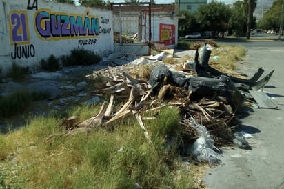 Dejan basura y hasta animales muertos. (EL SIGLO DE TORREÓN)