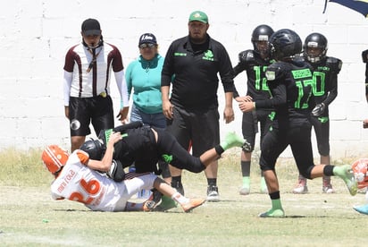 Los lerdenses de los Ducks del Colegio San Ángel buscarán el título en las categorías Peewee y Midget, al clasificarse a los playoffs. (ESPECIAL)