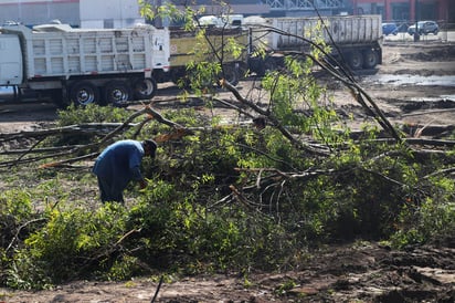 La Comisión Nacional de los Derechos Humanos (CNDH) consideró urgente replantear el rumbo de la política ambiental y energética del país, con base en acciones de mitigación y adaptación al cambio climático. (ARCHIVO)