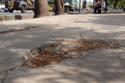 Las banquetas de alrededor presentan cuarteaduras, baches y pozos. (EL SIGLO DE TORREÓN)