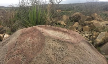 Análisis. Dos arqueólogos acudieron al sitio a fin de verificar el estado de los petrograbados. (ESPECIAL)