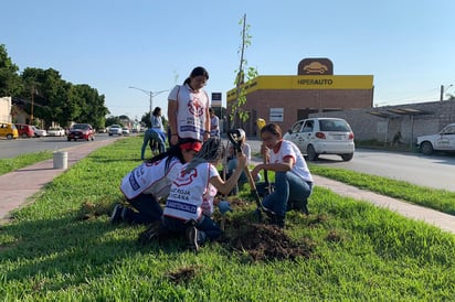 En esta ocasión los jóvenes de varias agrupaciones y los vecinos plantaron 110 árboles en el bulevar Constitución. (EL SIGLO DE TORREÓN)