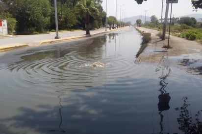 Esta situación no ocurre únicamente con las lluvias, sino que hasta dos veces por semana están así. (EL SIGLO DE TORREÓN)