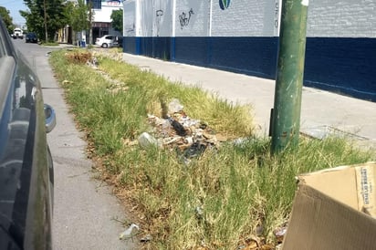 Es constante la presencia de basura en la banqueta. (EL SIGLO DE TORREÓN)