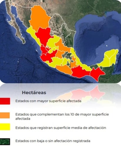 Fuego deja más de 57 mil hectáreas dañadas