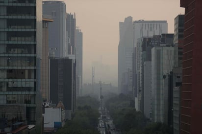 Como consecuencia de las condiciones climáticas propiciadas por el fenómeno 'El Niño', se espera que este año llueva menos de lo usual y aumenten las condiciones para el surgimiento y la propagación de incendios en la zona centro-sur del territorio nacional. (ARCHIVO)