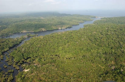 Está amenazado por actividades extractivas, proyectos de infraestructura, la construcción de hidroeléctricas y deforestación. (ARCHIVO)