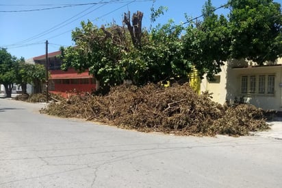 Se registró poda de árboles, pero no se retiraron las ramas. (EL SIGLO DE TORREÓN)