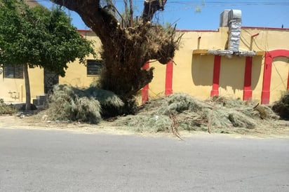 Se podó un árbol, y las ramas fueron dejadas sobre la banqueta y el pavimento. (EL SIGLO DE TORREÓN)