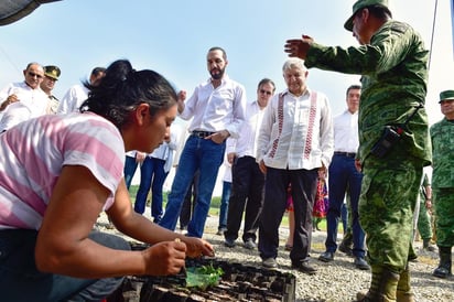 Los 30 mil millones de dólares que México destinó a los países del Triángulo del Norte, entre ellos El Salvador, para la siembra de árboles frutales y maderables, provienen del Fondo de Infraestructura para países de Mesoamérica y el Caribe, aprobado por el expresidente Enrique Peña Nieto. (ARCHIVO)