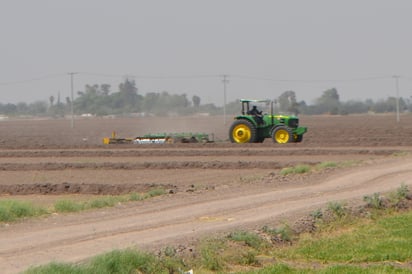 Las ventanillas para la recepción de proyectos permanecerá abierta un mes, pero hay recortes en los programas. (EL SIGLO DE TORREÓN)