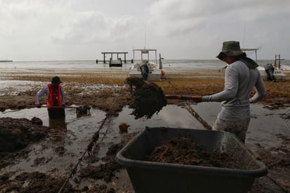 Subrayó la Semar que pese a la inversión realizada en el sexenio de Peña Nieto, las acciones no tuvieron éxito. (ARCHIVO)