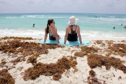 'Necesitamos tener un plan de control del sargazo en el Caribe, que contemple mecanismos para reducir el desastre y darle respuesta', afirmó June Soomer, secretaria de la AEA. (EFE