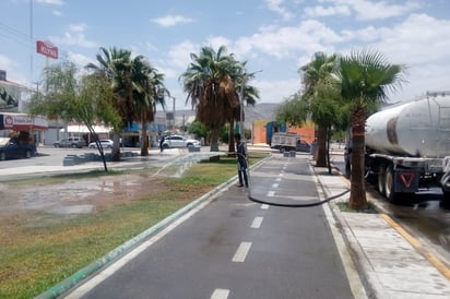 Vecinos de la Línea Verde se quejan por el riego a las 2 de la tarde.