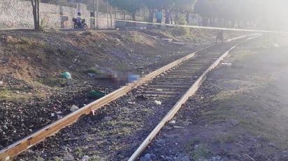 El hallazgo se reportó alrededor de las 8:30 de la mañana, cuando vecinos de la colonia escucharon al tren pasar y momentos después observaron un cadáver en las vías del ferrocarril. (EL SIGLO DE TORREÓN)
