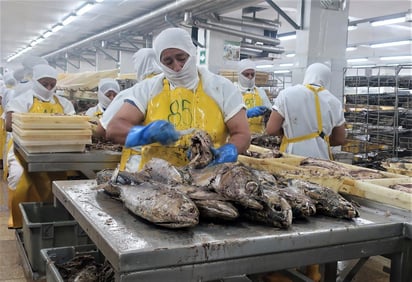 La mayor cantidad de micronutrientes se encuentran en las partes que se desechan. (EFE)