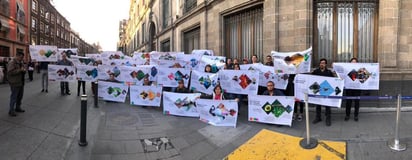 Científicos del Centro de Investigación y de Estudios Avanzados (Cinvestav) protestan frente a Palacio Nacional por los recortes aplicados a los rubros de ciencia y tecnología como parte de la política de austeridad del gobierno federal. (TWITTER)