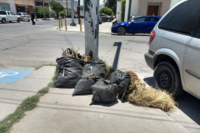 Dejan la basura mal colocada, acumulando bolsas que los animales rompen y terminan por salirse los desechos. (EL SIGLO DE TORREÓN)