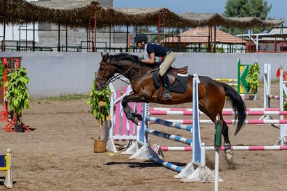 El evento se realizará bajo los reglamentos generales y de salto, de la Federación Ecuestre Internacional. (ARCHIVO)