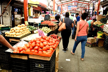 Productores de tomate estiman pérdidas millonarias por imposición de aranceles por parte de Estados Unidos. (ARCHIVO)