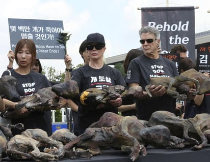 “No necesitan tus lágrimas, necesitan tu ayuda”, dijo Basinger de los perros. “Tenemos que poner fin a esta crueldad en este planeta. Tenemos que ayudar a cualquier cosa que sufra”. (AP)