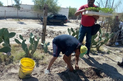 Ponen en marcha nuevamente el programa Del patio a tu mesa.