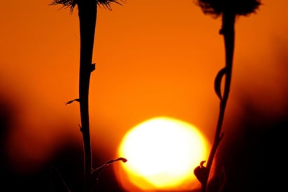 Sufrirán temperaturas que parecerán superiores a los 40 grados centígrados durante al menos cuatro meses al año debido al impacto del cambio climático. (ARCHIVO)