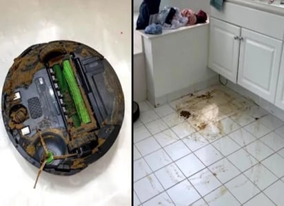 El perro abrió la habitación, hizo del baño y el robot sólo siguió trabajando. (INTERNET)