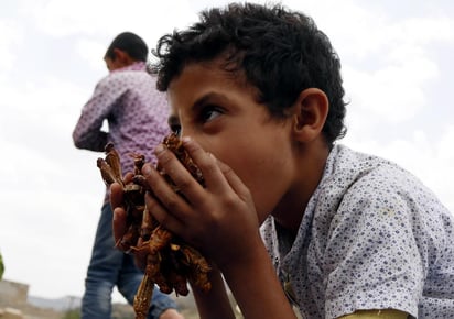 Empresas, Gobiernos y agricultores tendrán que hacer cambios para enfrentar el desafío mundial de los alimentos.