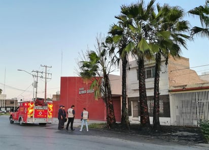 Fueron dos pares de palmas y un árbol los que ardieron en llamas, por lo que se realizó el llamado a la línea de emergencias. (EL SIGLO)
