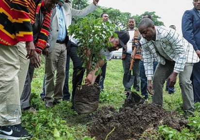 El récord de la mayor cifra de árboles plantados anteriormente estaba en posesión de la India. (ESPECIAL)