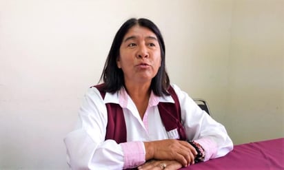 La presidenta de la Comisión de Salud de la Cámara de Diputados, Miroslava Sánchez Galvan, dijo que del 7 al 9 de agosto se tendrán las mesas de trabajo. (ESPECIAL)