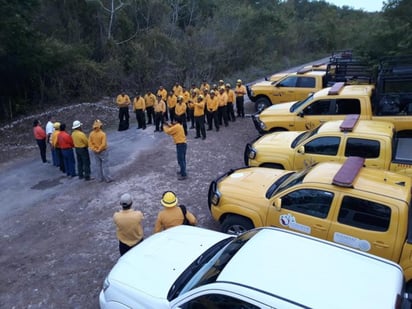 Después de 29 días de intensas jornadas, personal de la Comisión Nacional Forestal (Conafor), de la Comisión Nacional de Áreas Naturales Protegidas (Conanp), de la Secretaría de la Defensa Nacional (Sedena) y de la Secretaría de Ecología y Medio Ambiente de Quintana Roo (Sema), logró la extinción total del incendio en la Reserva de la Biosfera de Sian Ka'an. (TWITTER)a