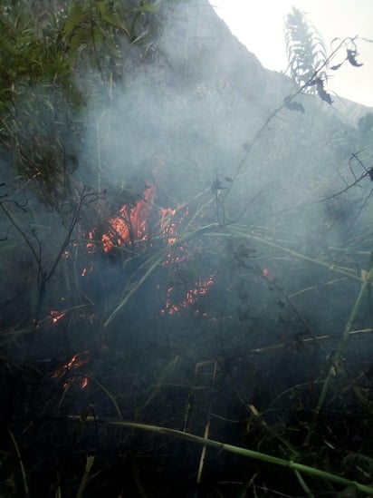 Es probable que el incendio se haya originado a raíz de actividades propias de los visitantes. (EL SIGLO)