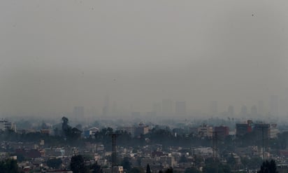 Organizaciones, grupos sociales, Gobiernos yempresas han reforzado las estrategias de cuidado al medio ambiente. (ARCHIVO)