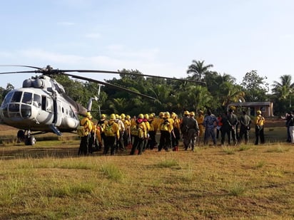  Autoridades de Quintana Roo informaron que se iniciaron operaciones para atender un nuevo incendio forestal localizado en la Zona Núcleo 'Uaimil' de la Reserva de la Biosfera Sian Ka'an en Felipe Carrillo Puerto, en una superficie de 500 hectáreas. (TWITTER)