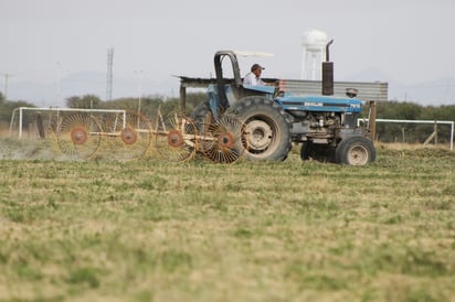 La situación es cada vez mas crítica para el campo, tanto para la agricultura como la ganadería.