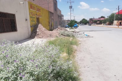 Escombro, vegetación seca, así como basura tirada es lo que se ubica encima de las banquetas. (EL SIGLO DE TORREÒN / BEATRIZ SILVA)