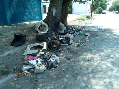 En el lugar hay una gran cantidad de desechos esparcidos junto a un árbol y no se hace nada al respecto. (EL SIGLO DE TORREÓN)