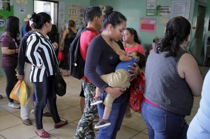 El mosquito 'Aedes aegypti' además es transmisor de otras enfermedades como el zika y el chikunguña. (ARCHIVO)