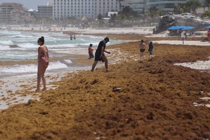 Semar realizará más pruebas acerca del agua. (ARCHIVO)