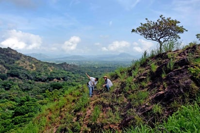 Por primera vez, la Fiscalía General del Estado (FGE) de Chiapas celebró un acuerdo reparatorio por ecocidio, en el cual los dos requeridos deberán plantar tres mil árboles de pochota y limpiar el río Zanatenco, en el municipio de Tonalá. (ARCHIVO)