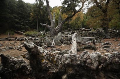 Permitirá identificar cuál es el costo económico que genera la falta de medidas contra el impacto del cambio climático. (ARCHIVO)