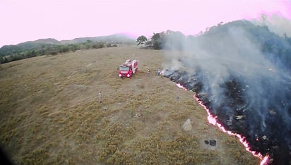 El Gobierno de Brasil negó que existan omisiones a la crisis de deforestación de la selva, acechada ahora por una serie de incendios. (AP)